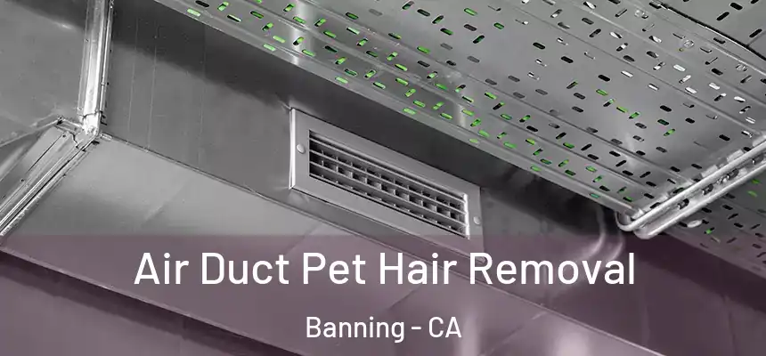 Air Duct Pet Hair Removal Banning - CA