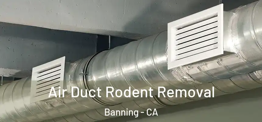  Air Duct Rodent Removal Banning - CA