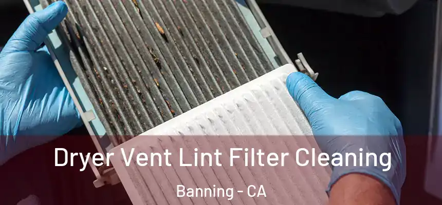  Dryer Vent Lint Filter Cleaning Banning - CA