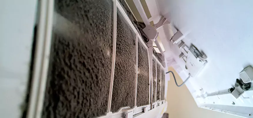 Preventive Air Duct Bacteria Removal in Banning