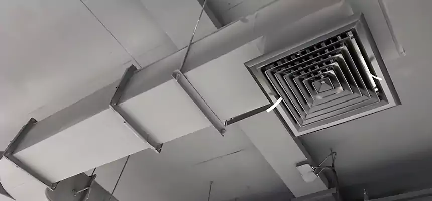 Restorative Allergy Relief Vent Cleaning – Coil, Blower & Housing Detail in Banning