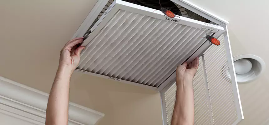 Our Insect Removal from Air Ducts Services in Banning, CA