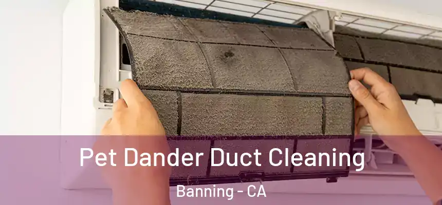 Pet Dander Duct Cleaning Banning - CA