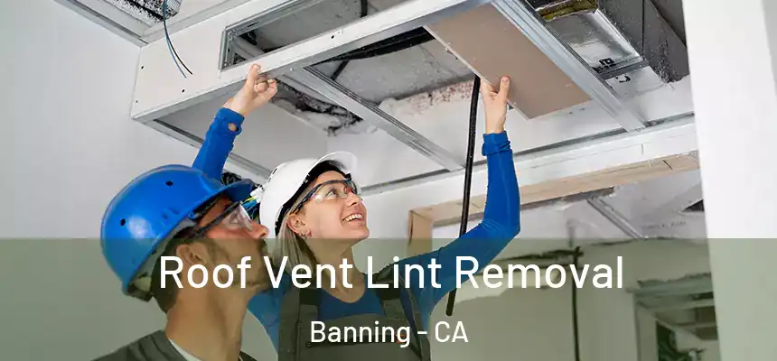  Roof Vent Lint Removal Banning - CA