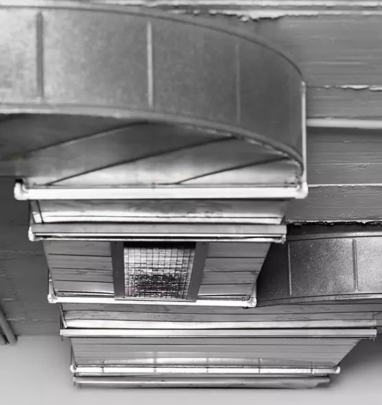 Professional Air Duct Pest Removal in Banning, CA