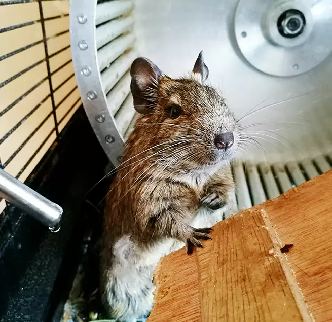 Why Homeowners & Businesses Trust Us Banning, CA